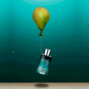 Pear Inc.
