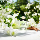 Dolce
Eau de Parfum