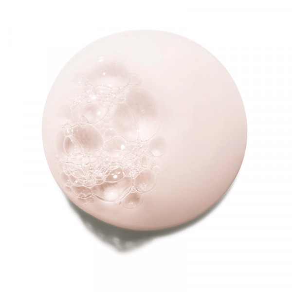 Chroma Absolu Bain Chroma Respect Shampoo