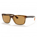 RB4181 710/83 Light Havana Polar Brown