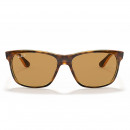 RB4181 710/83 Light Havana Polar Brown
