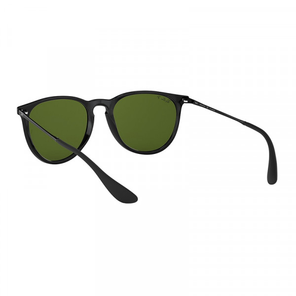 RB4171 601/2p Erika Black Polar Green