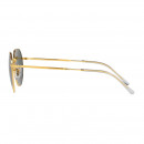 RB GAFAS 0RB3565 919631 T53 METAL 145 3N LEGEND GOLD GREEN