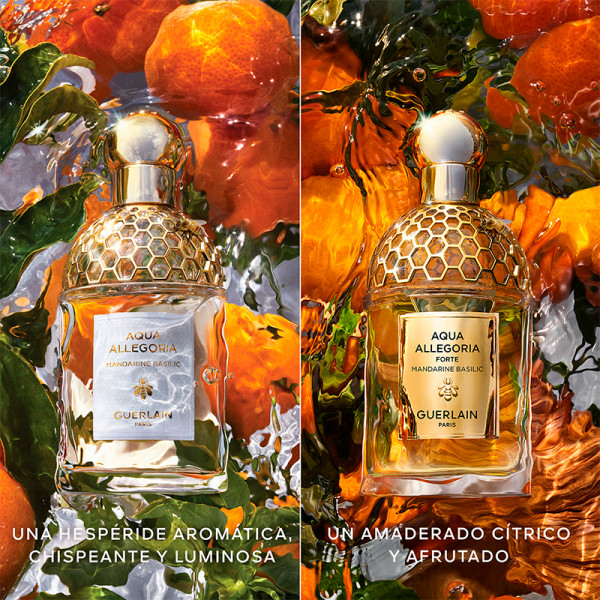 Aqua Allegoria Mandarine Basilic Forte