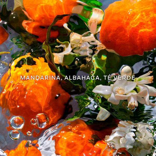 aqua-allegoria-mandarine-basilic-aufladen