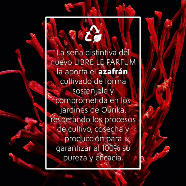 libre-le-parfum