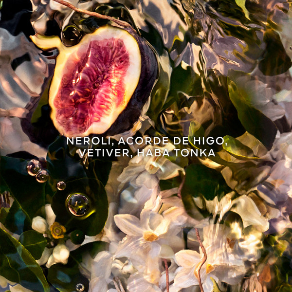 Aqua Allegoria Forte Nerolia Vetiver