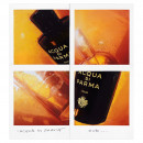 oud-signatures-of-the-sun