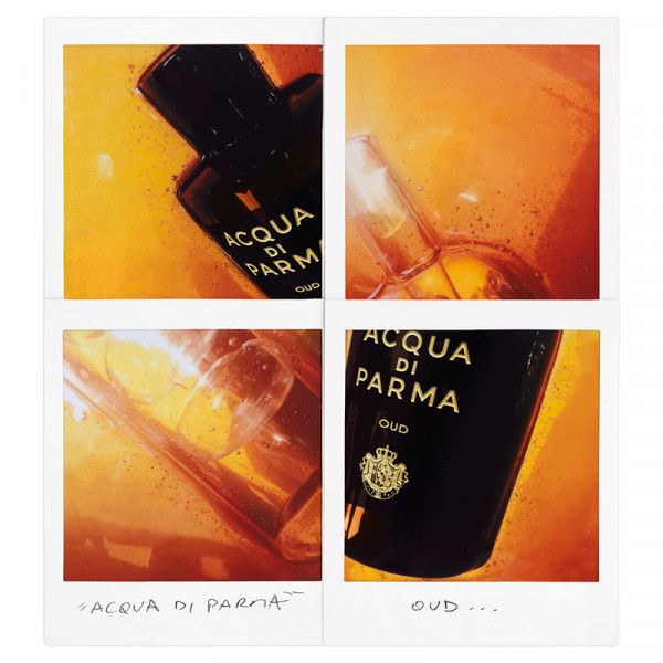 oud-signatures-of-the-sun