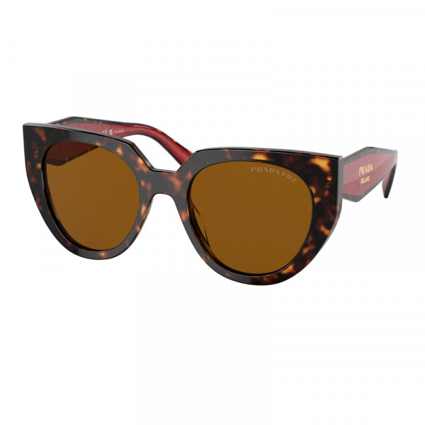 PR 14WS 2AU5Y1 TORTOISE/DARK BROWN
