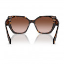 pr-19zs-2au651-tortoise-brown-grad