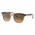 Rb2298 Hawkeye Sunglasses