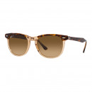 RB2398 1292M2 53-21 Eagle Eye Sunglasses Polarized