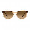 RB2398 1292M2 53-21 Eagle Eye Sunglasses Polarized