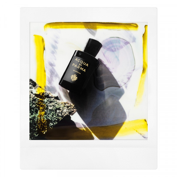 quercia-signatures-of-the-sun