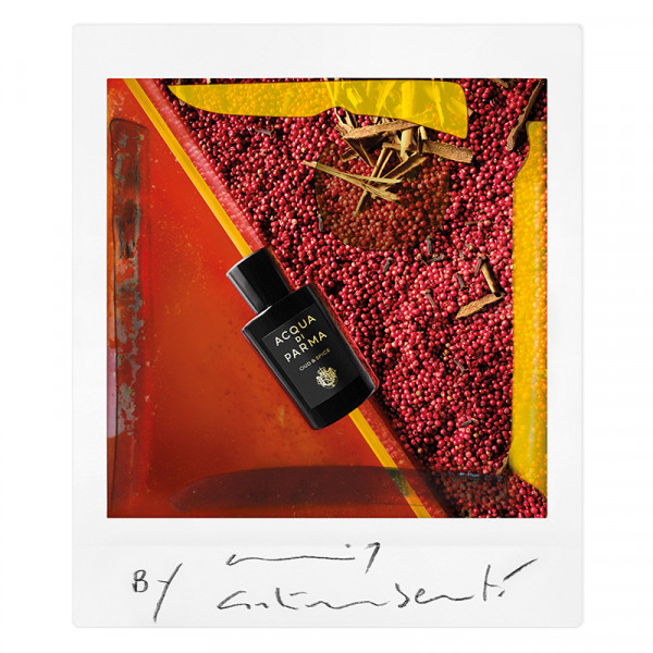 oud-spice-signatures-of-the-sun