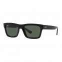 RB4396 667771 54-20 Warren Bio-Based