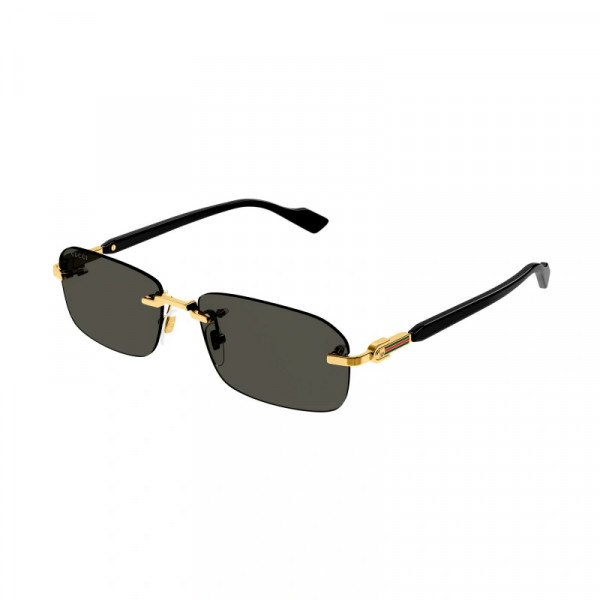 gg1221s-001