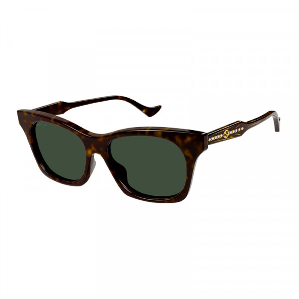 gg1299s-002