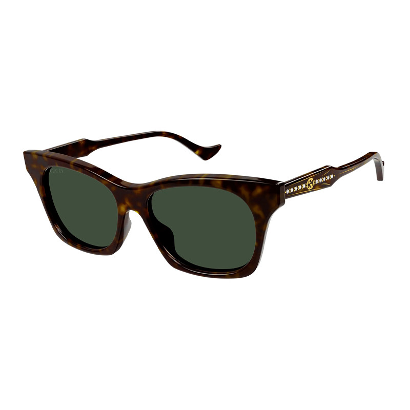 Gucci Eyewear GG1299S 002