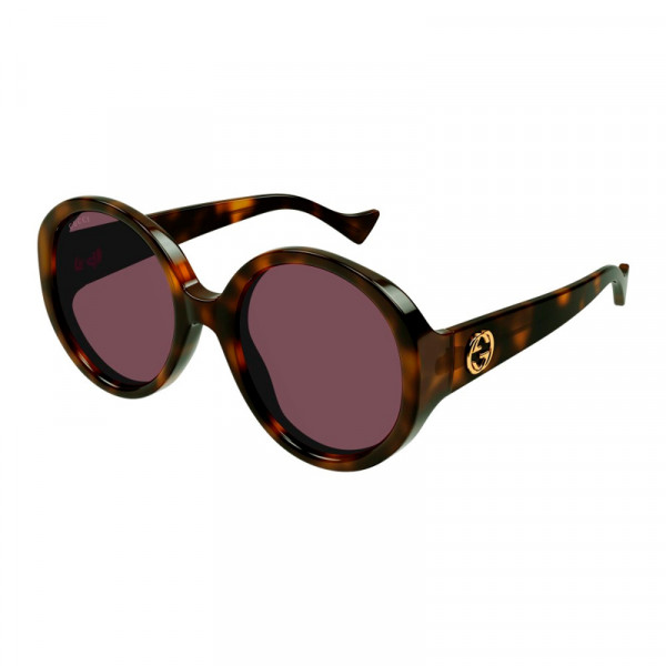 gg1256s-003