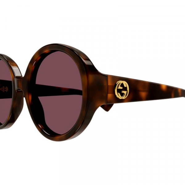 gg1256s-003