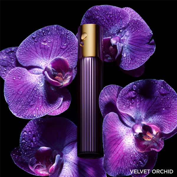 Velvet Orchid