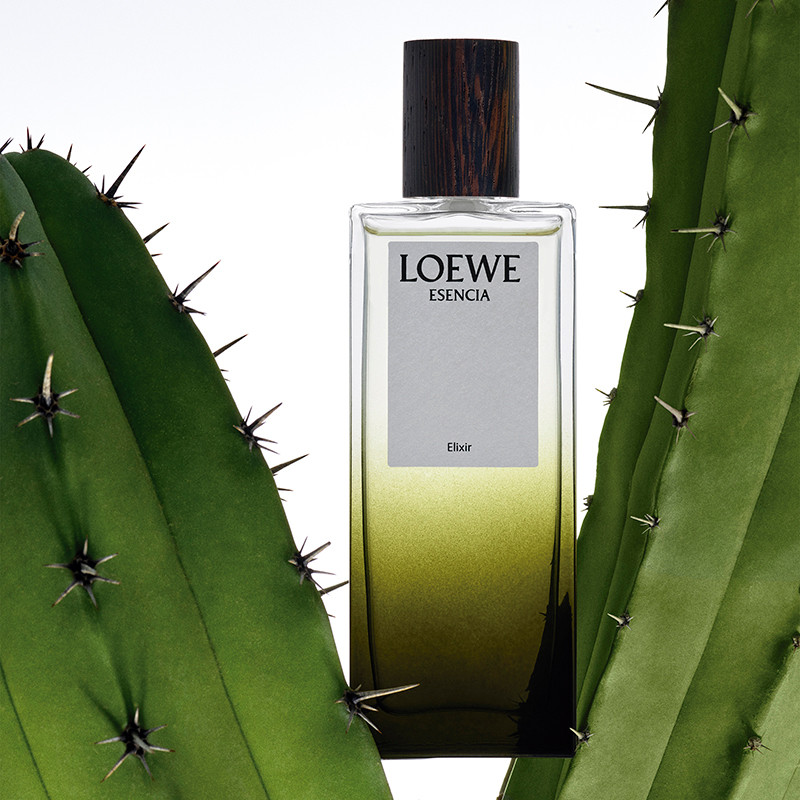 Esencia Elixir Eau de Parfum - Loewe - Sabina