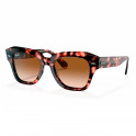 Gafas De Sol Rb2186 State Street Fleck