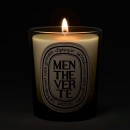 kerze-modell-menthe-verte-classic