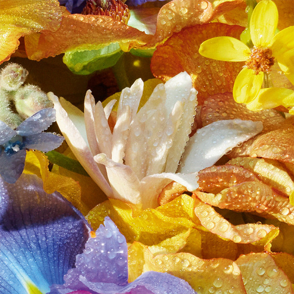 Aqua Allegoria Florabloom