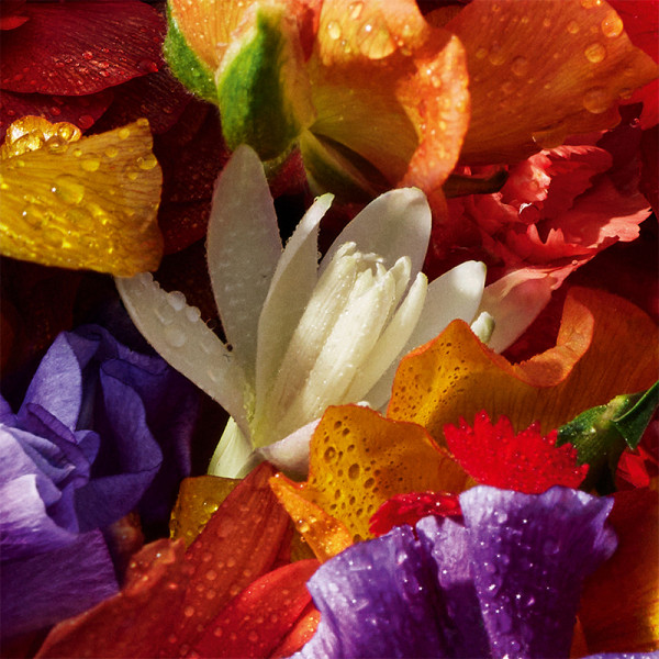 Aqua Allegoria Florabloom Forte