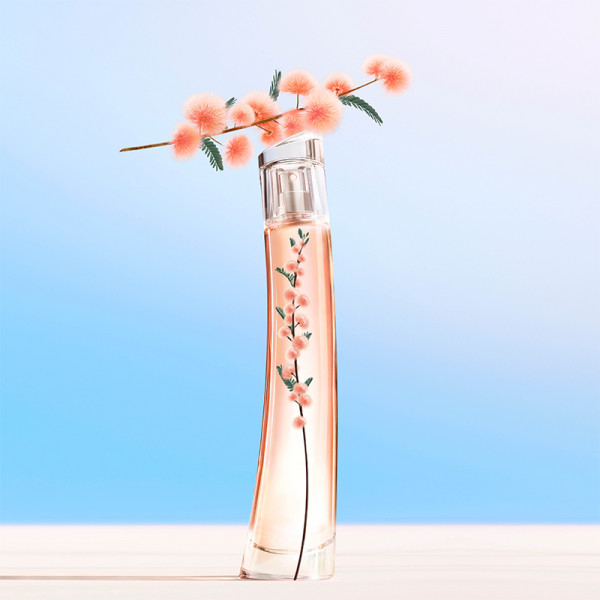 Flower Ikebana Mimosa by Kenzo