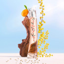 Flower Ikebana Mimosa by Kenzo