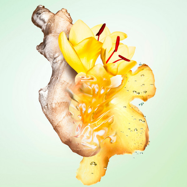 Infusion De Gingembre