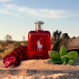 koback　Polo Red Intense 125ml 男性用香水 koback Polo Red Intense 125ml 男性用香水 Buy Ralph Lauren