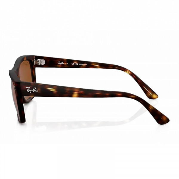 gafas-de-sol-rb4428