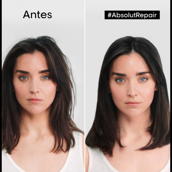 absolut-repair-shampoo