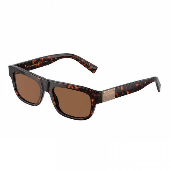 sunglasses-0dg4432