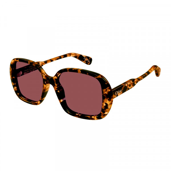 sunglasses-ch0222s