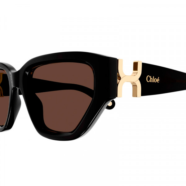 sunglasses-ch0235s