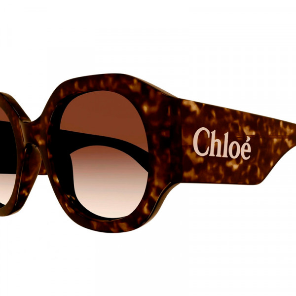 sunglasses-ch0234s