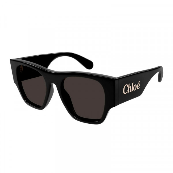 lunettes-de-soleil-ch0233s