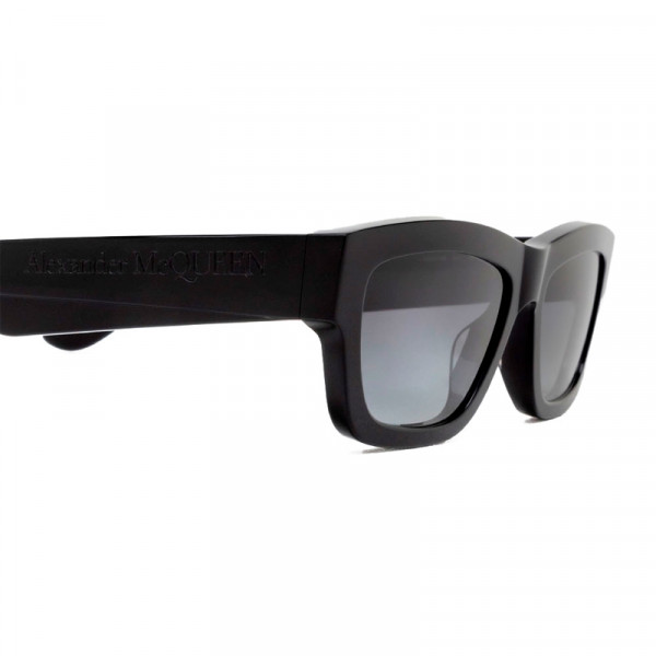 sunglasses-am0419s