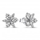 pendientes-de-boton-herbario-brillante