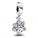 Shiny Pet Paw Pendant Charm 792247C01