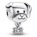 Dog and Bone Pet Charm 792254C01