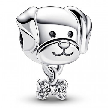 charm-mascota-perro-y-hueso-792254c01