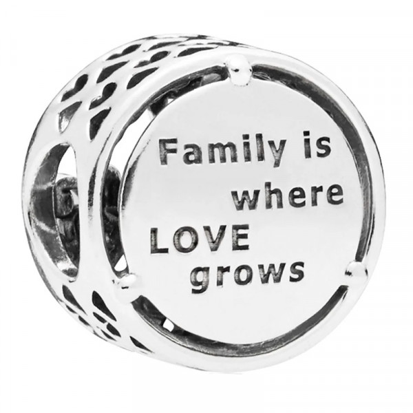 charm-en-plata-de-ley-raices-familiares-797590