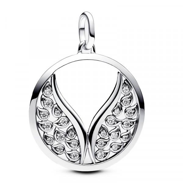 ppandora-me-large-wings-locket-charm-p